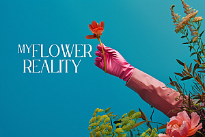 Oculus Quest 游戏《My Flower Reality》MR室内花卉
