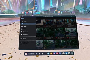 Oculus Quest 工具《XR Native Android File Manager+Settings》Quest文件管理器+设置 Oculus Quest