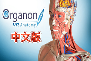 Oculus Quest 游戏《3D Organon VR 人体解剖学VR》3D Organon VR Anatomy 2021 VR