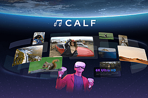 Oculus Quest 游戏《开飞视频》Calf  VR