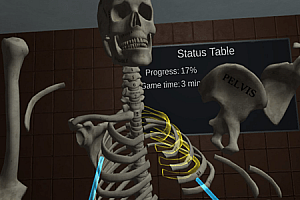 Oculus Quest 游戏《人体解剖学》Human Anatomy Puzzle